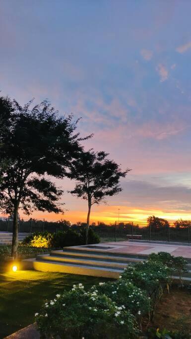 Golden Skyview Sunrise Sunset