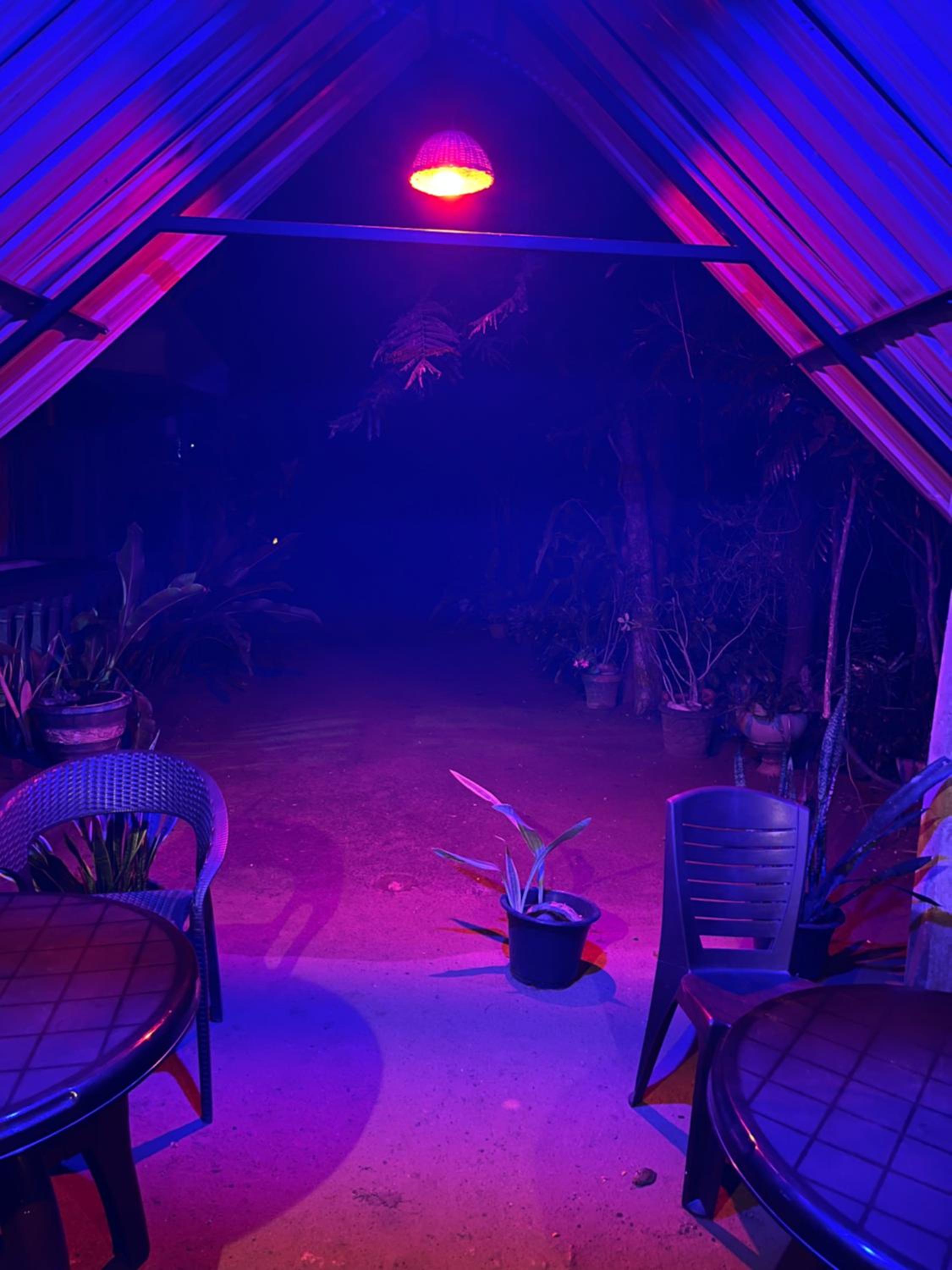 Green House Resort view 5