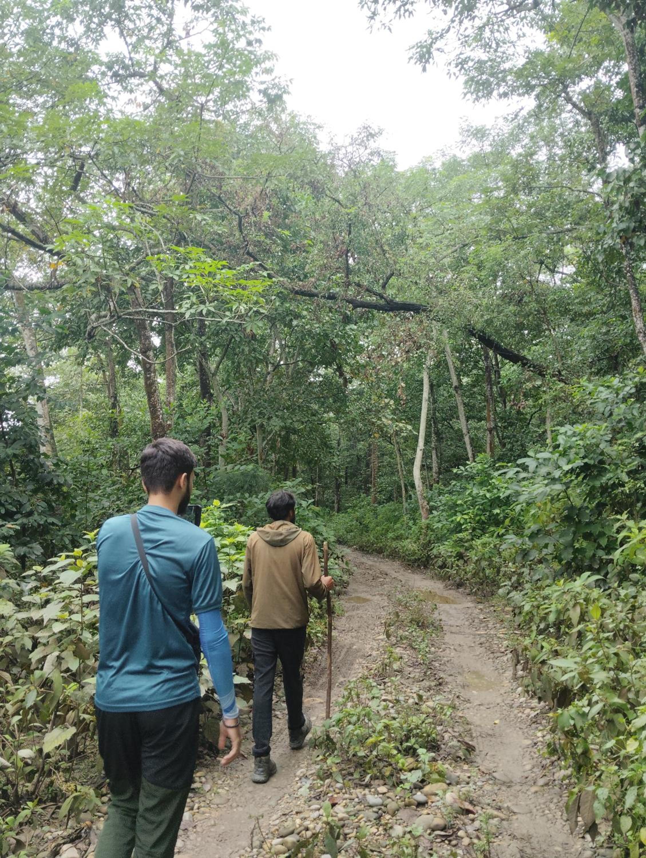 Kings jungle safari & Culture home stay view 5