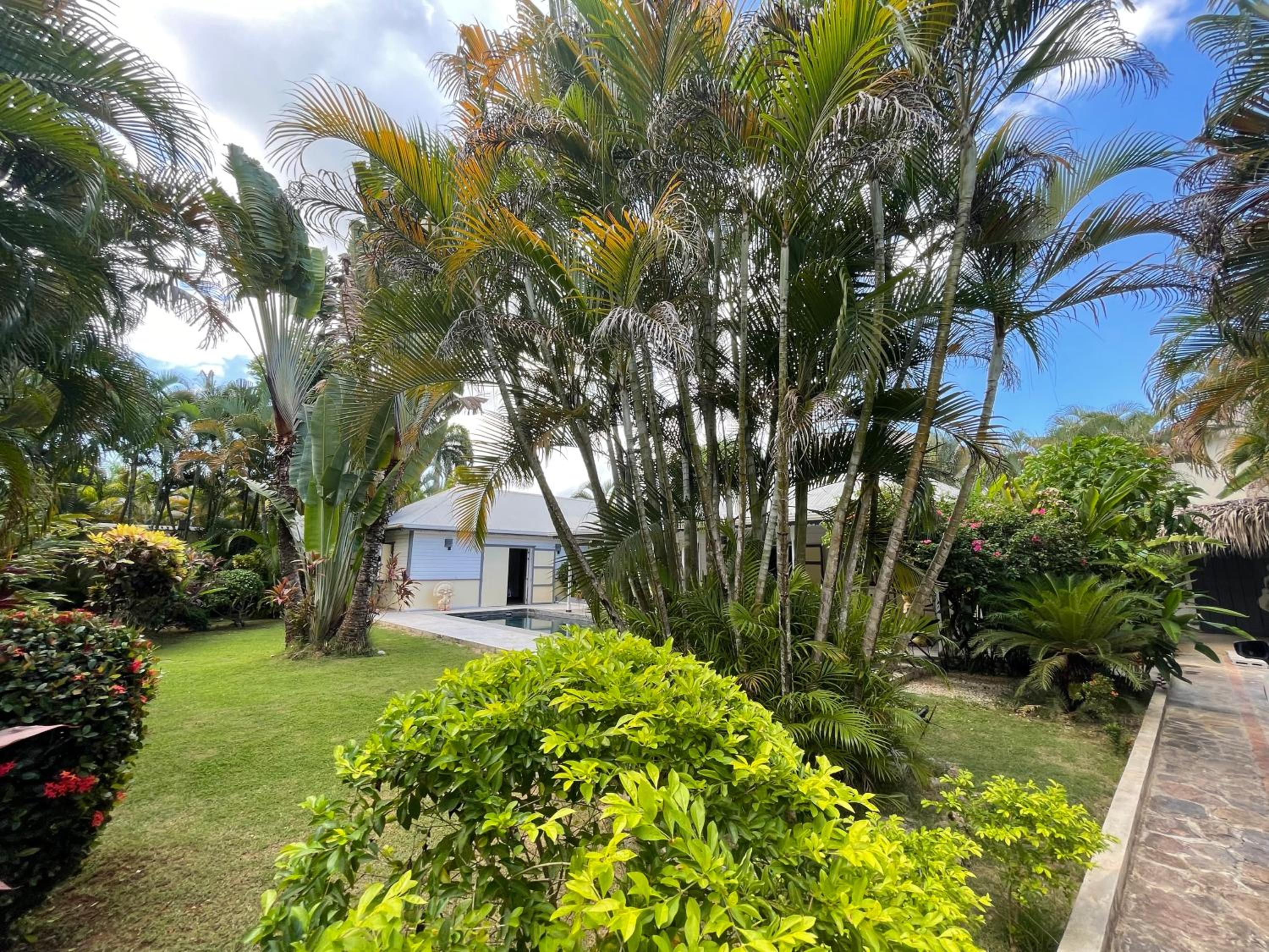 casa bambu