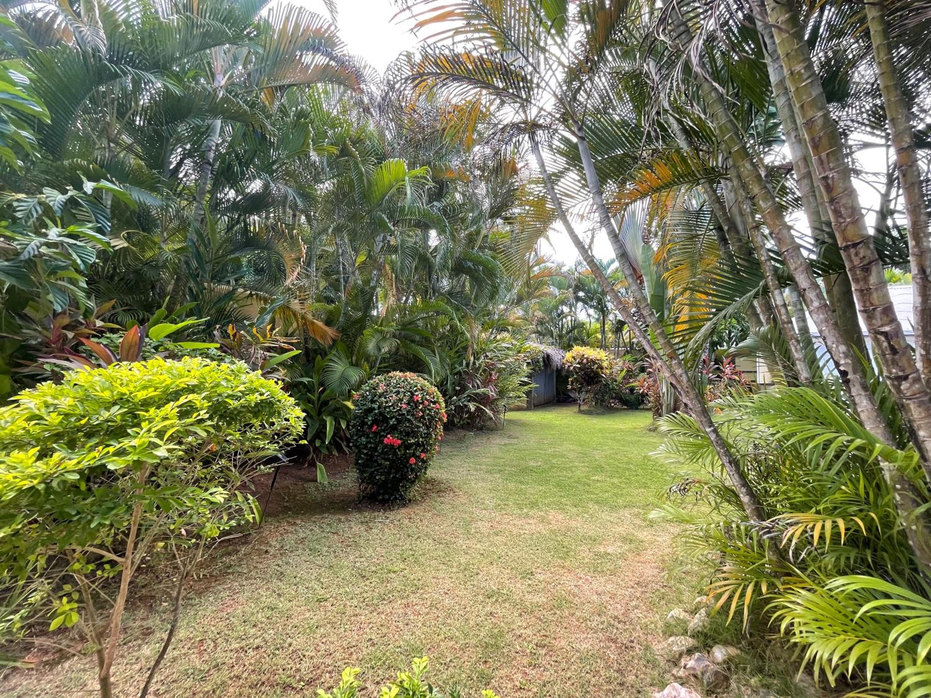 casa bambu