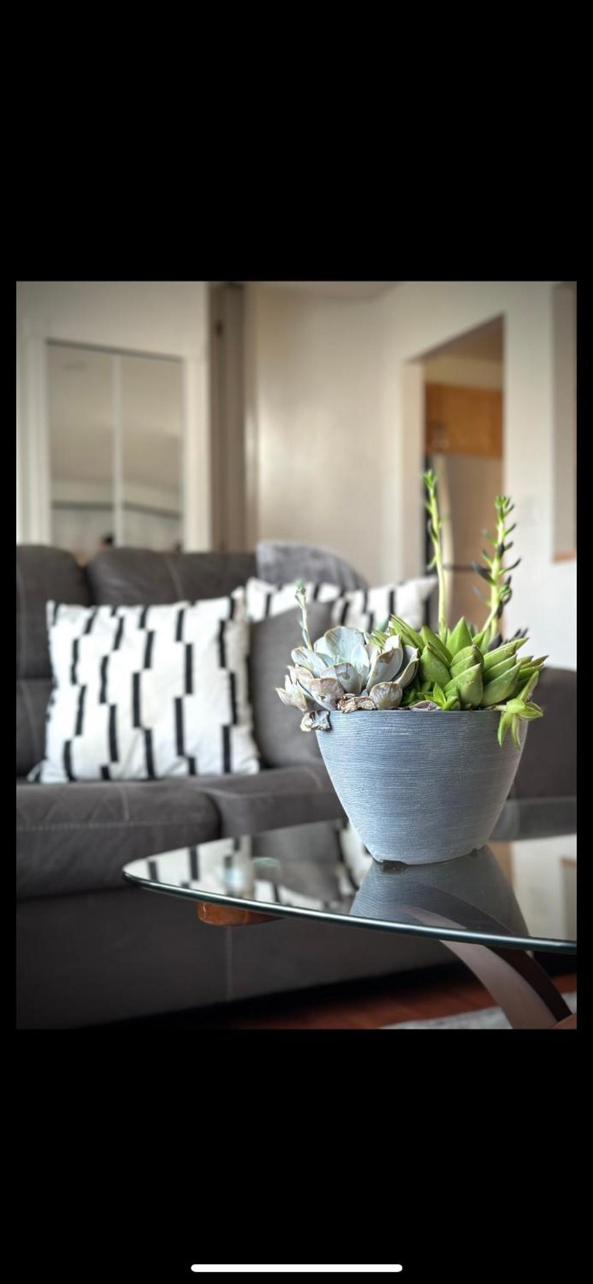 Leduc Vacations - GI Cozy nestled home - Property Image 6