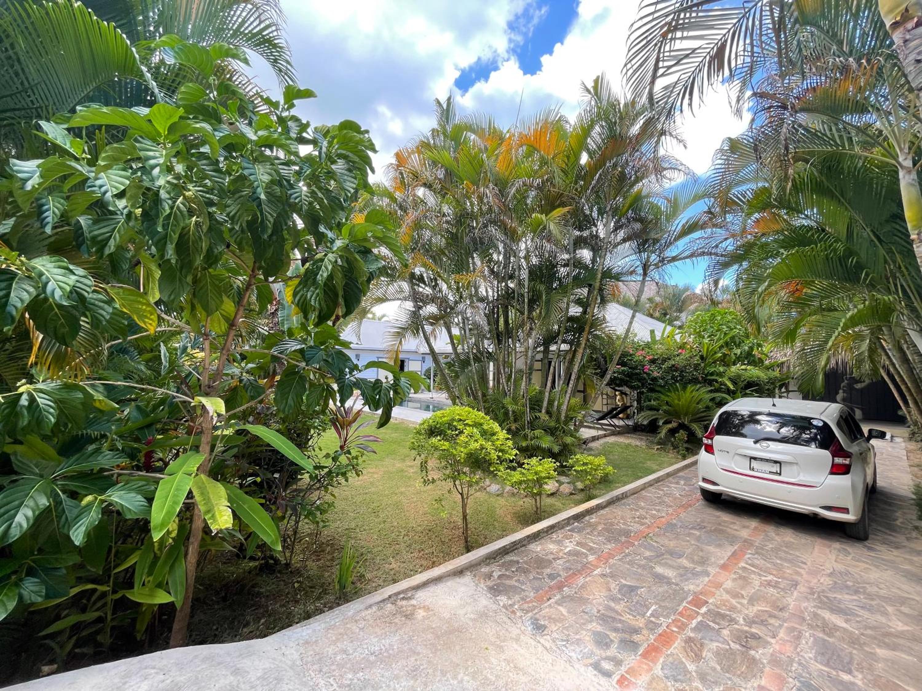 casa bambu