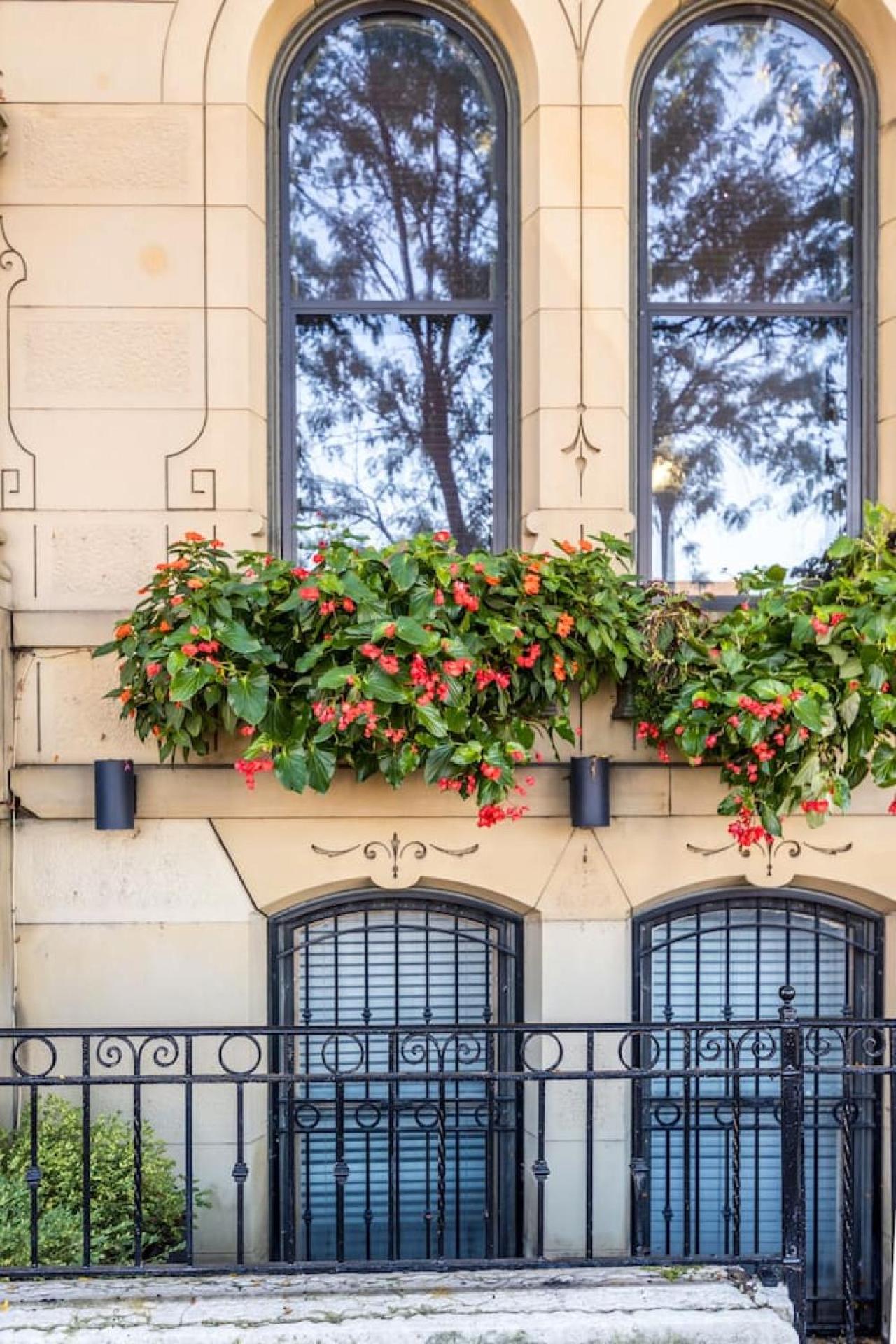 Luxury Brownstone - Walk to ALL - Washington Park view 4