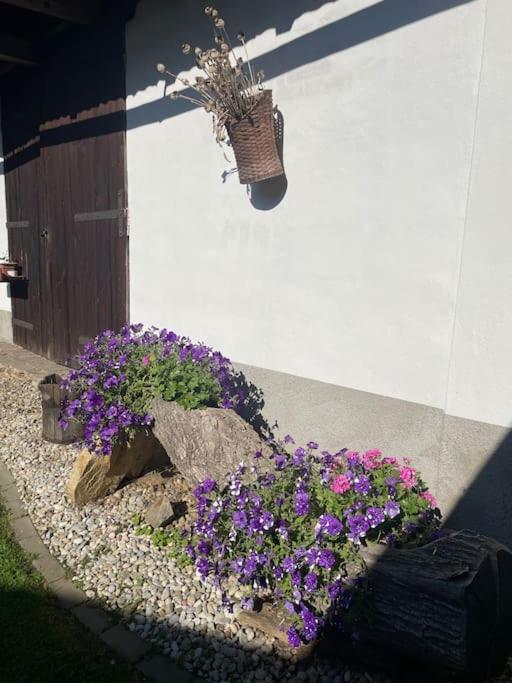 Apartmán u Poustevníka