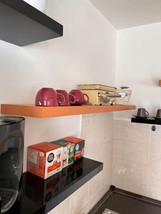 Apartmán u Poustevníka
