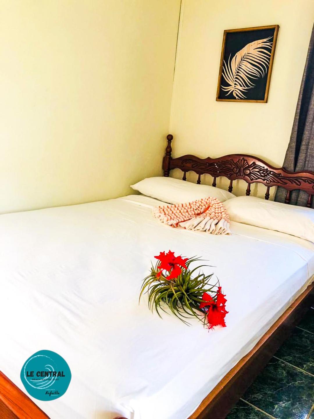 Le Central - Beach Hostel Vibe