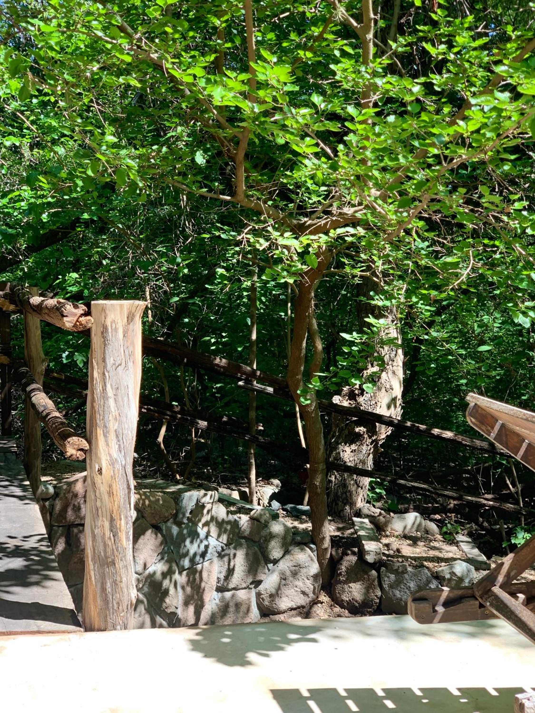 Cabaña del Bosque
