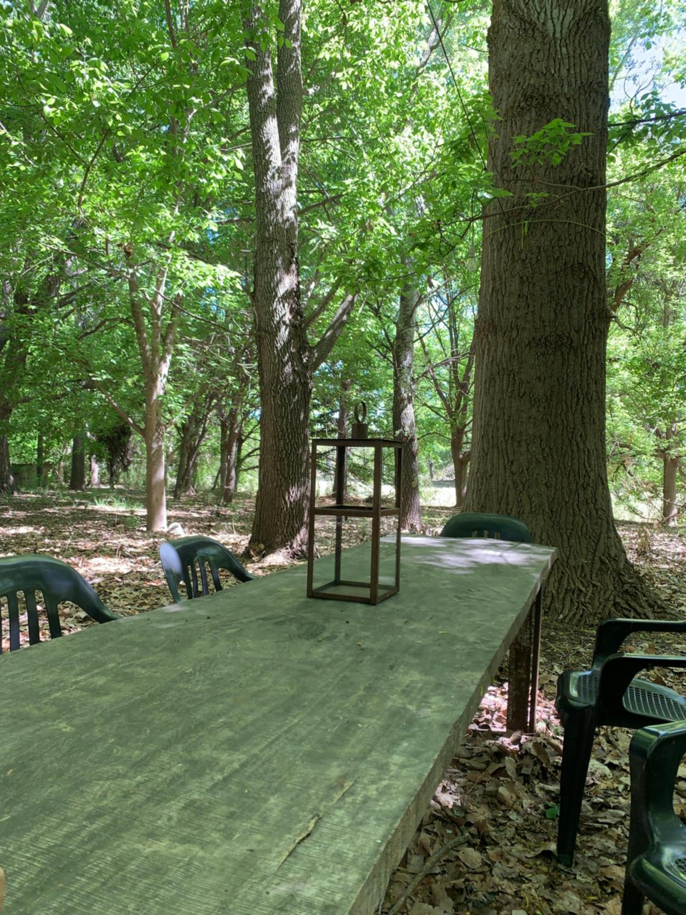 Cabaña del Bosque