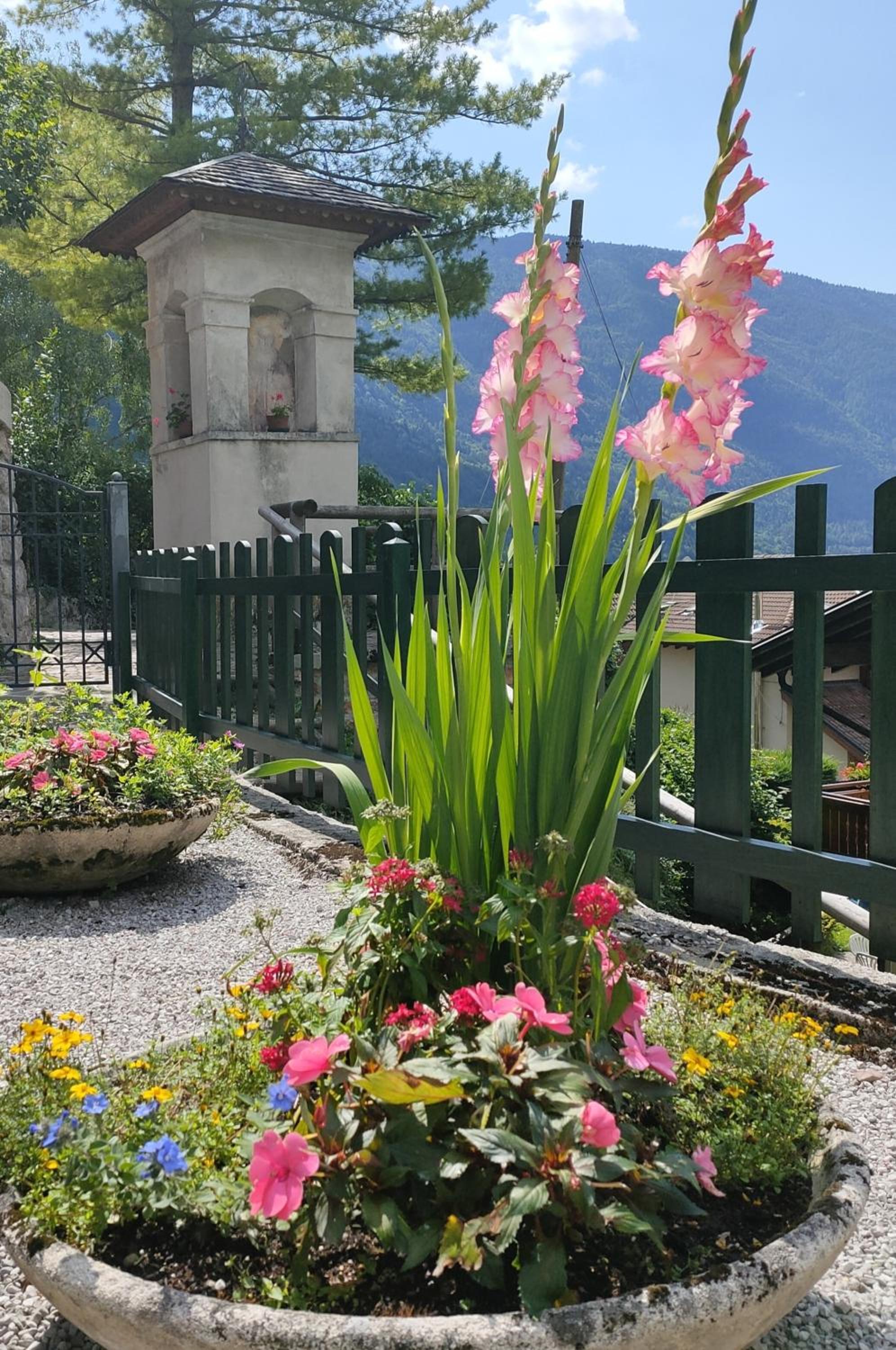 Villa Aprica Appartamenti view 3