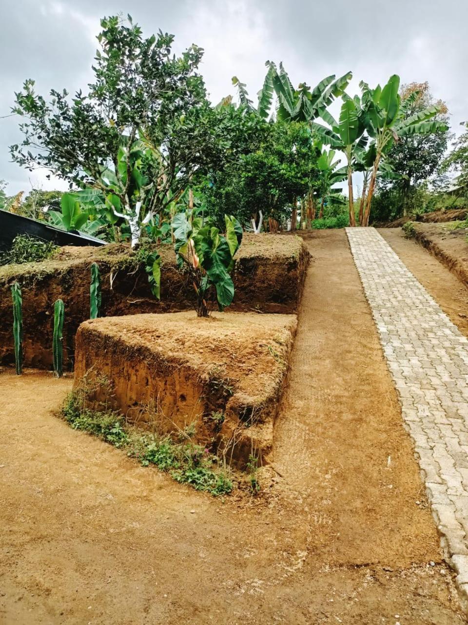 Cabañas la Miranda