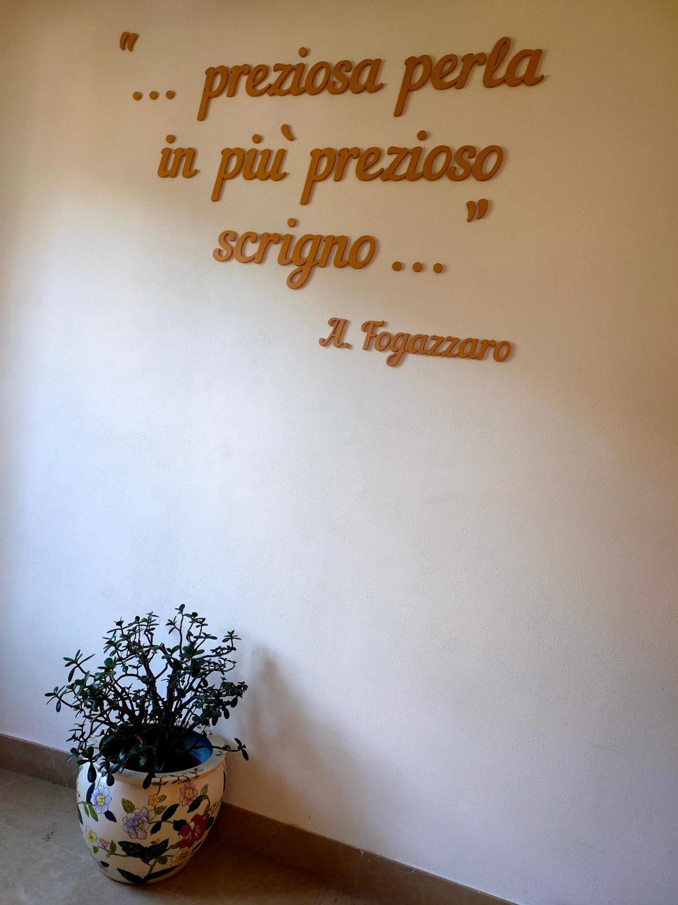 Photo 51
