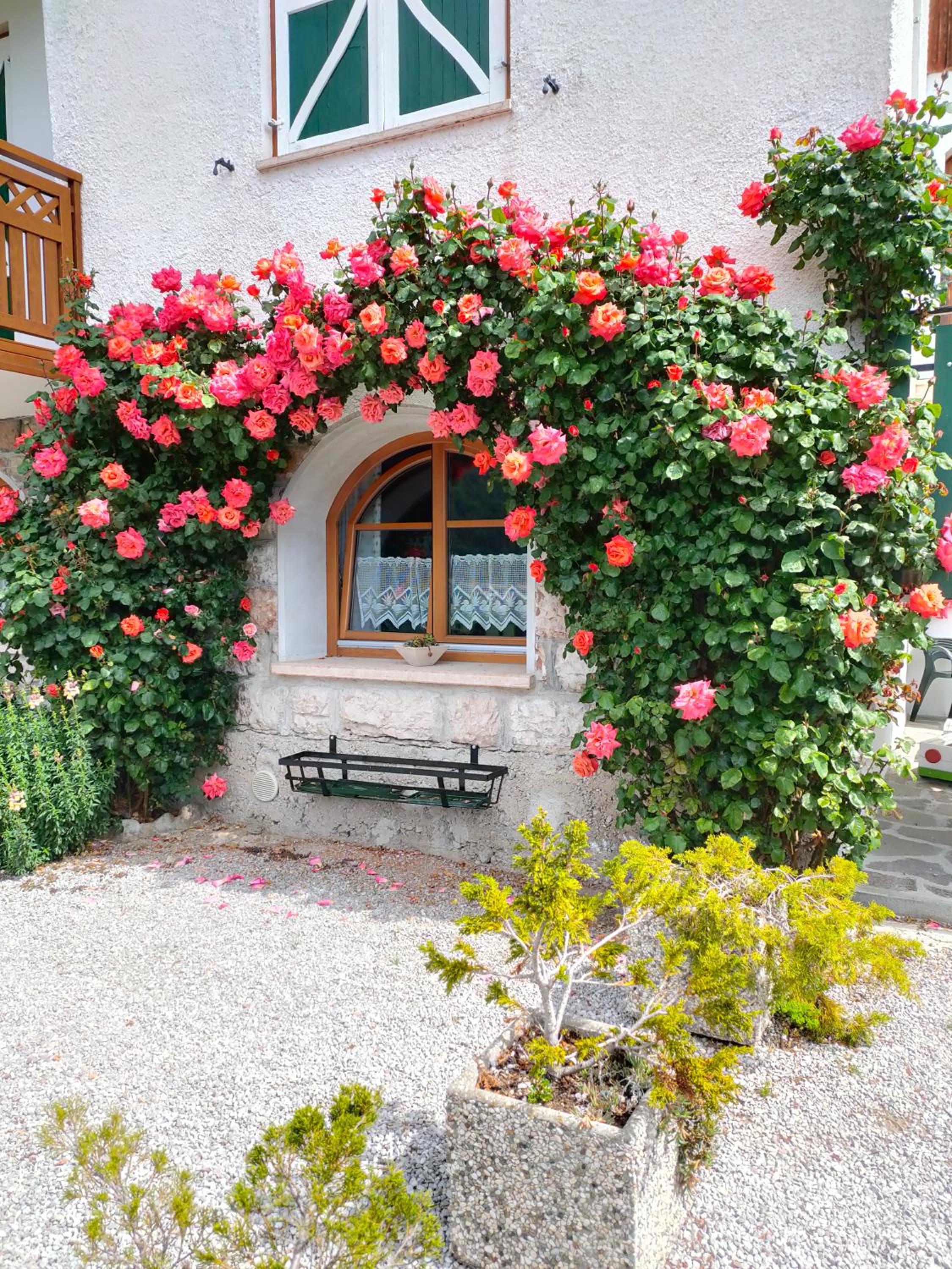 Villa Aprica Appartamenti view 5
