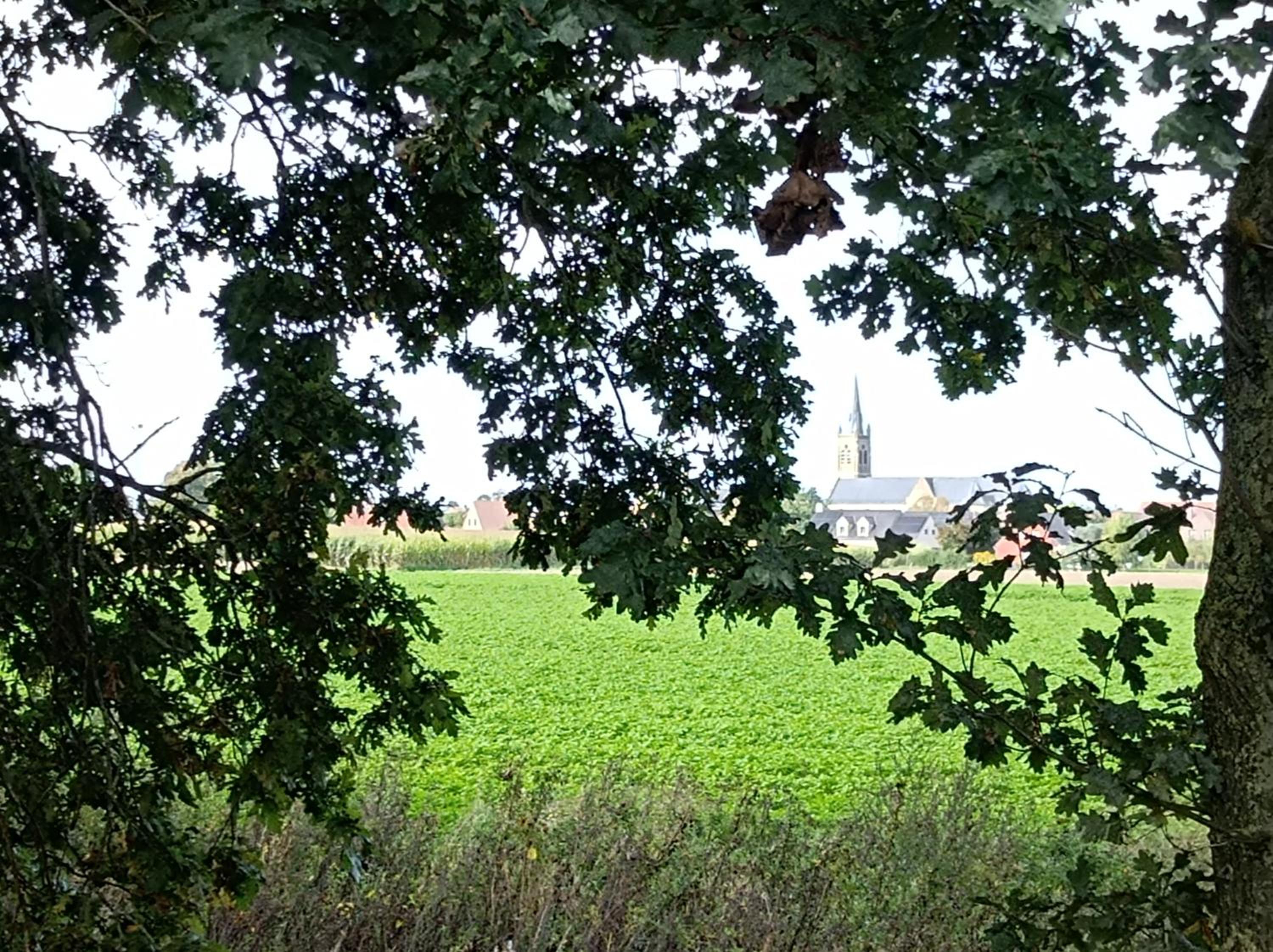 Huyze Vinteling