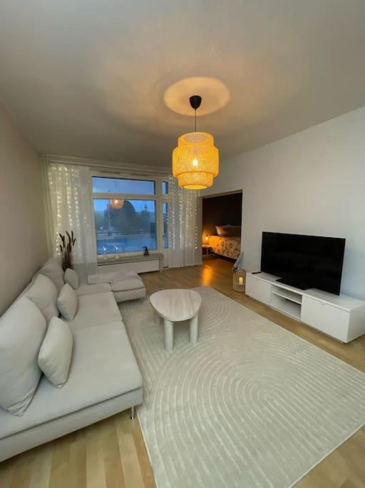 Arctic star home