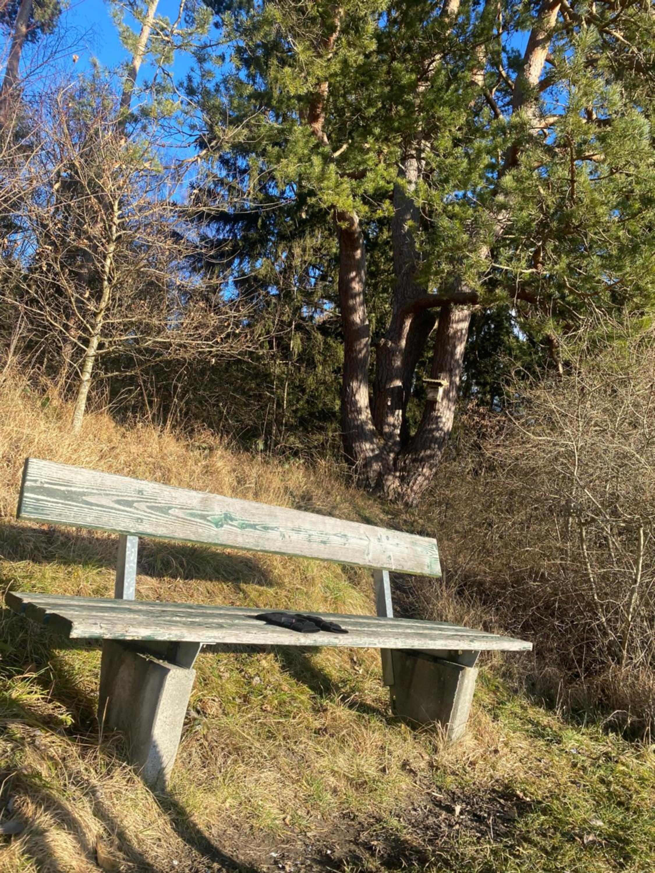 fewo-turmblick-rottweil