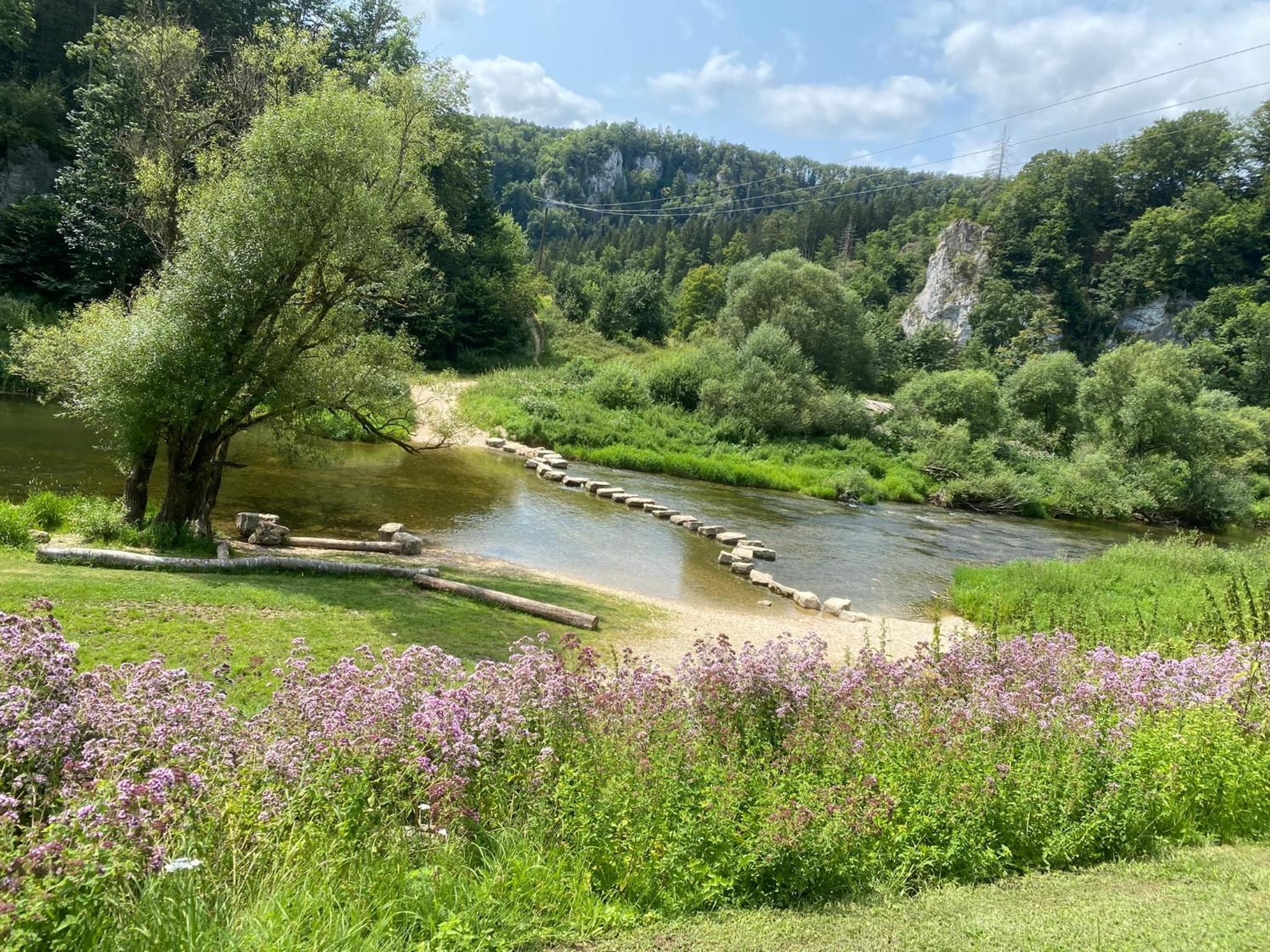 fewo-turmblick-rottweil