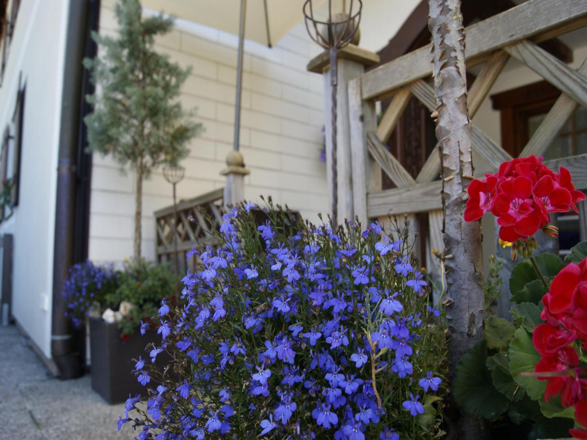 Apartment Nähe Wolfgangsee Salzkammergut