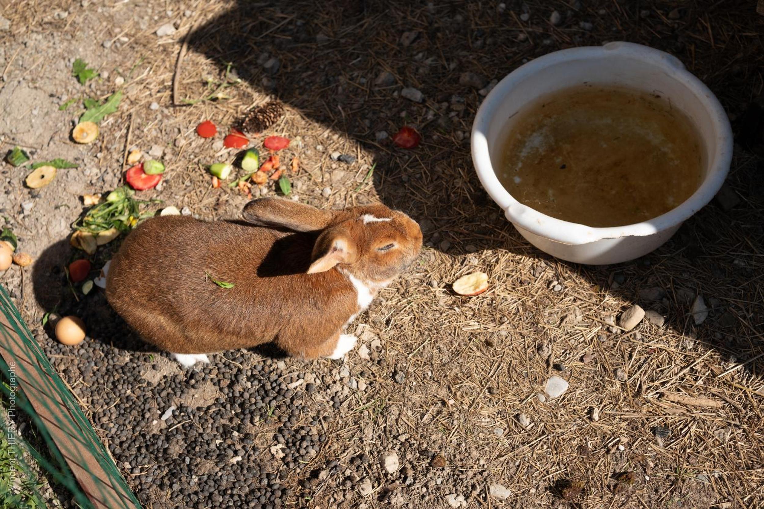 Photo 62