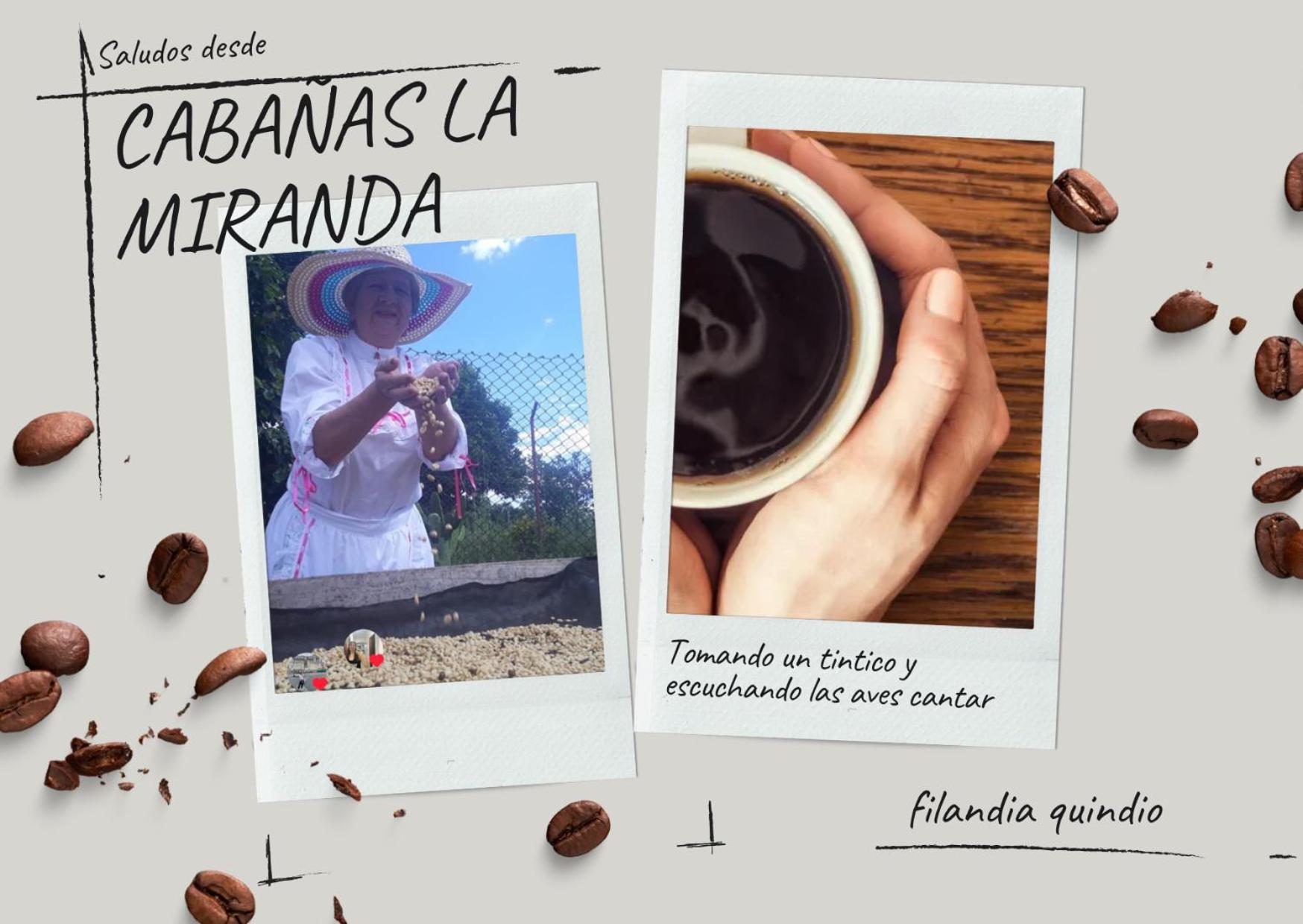 Cabañas la Miranda