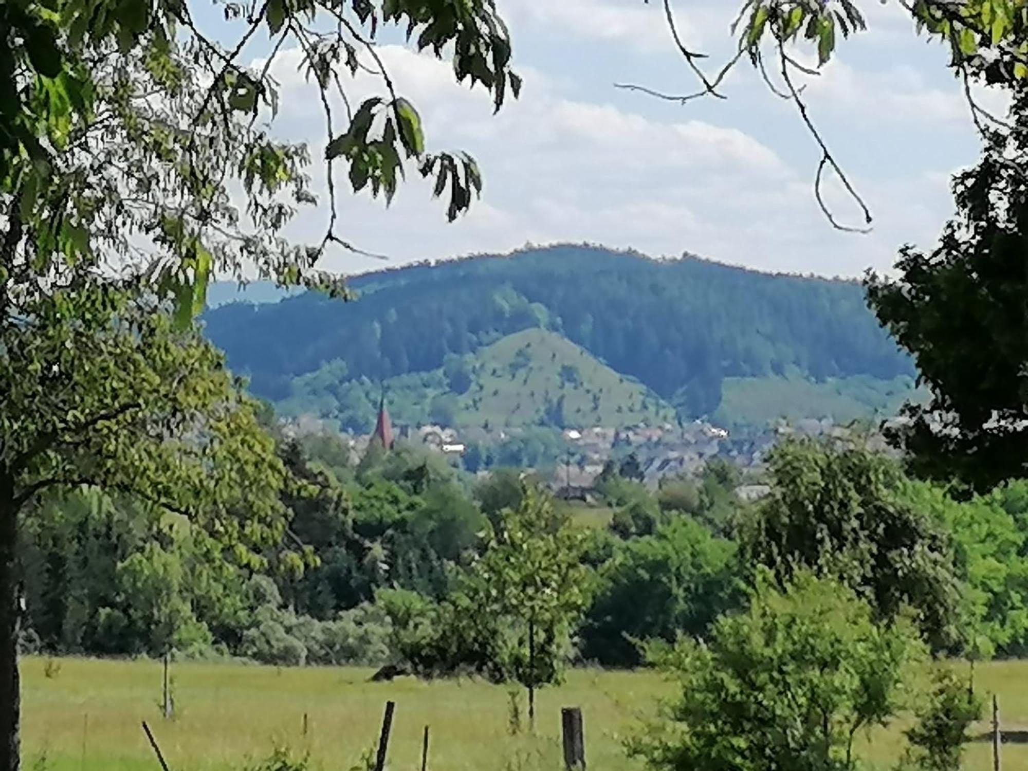 fewo-turmblick-rottweil