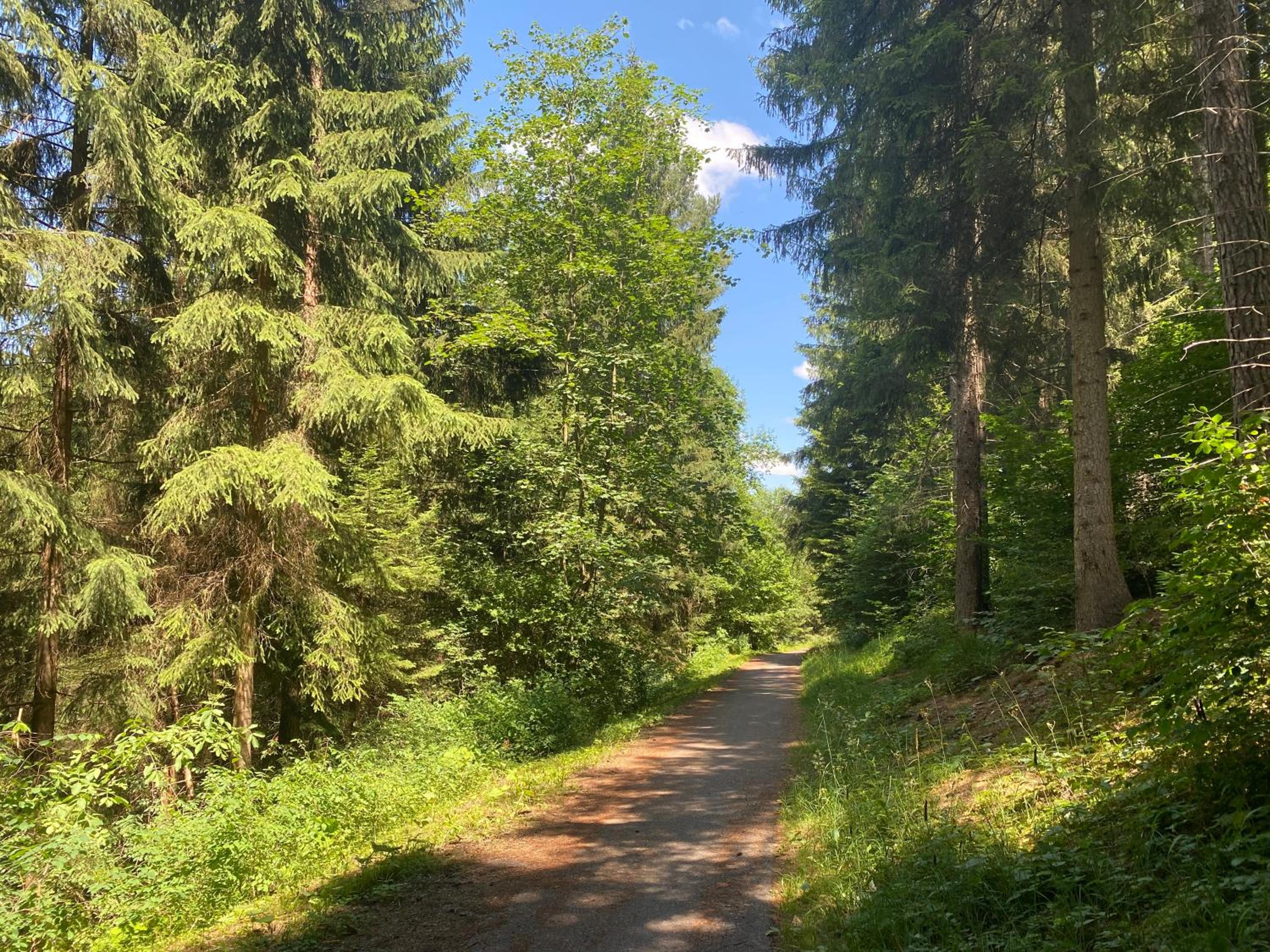 fewo-turmblick-rottweil