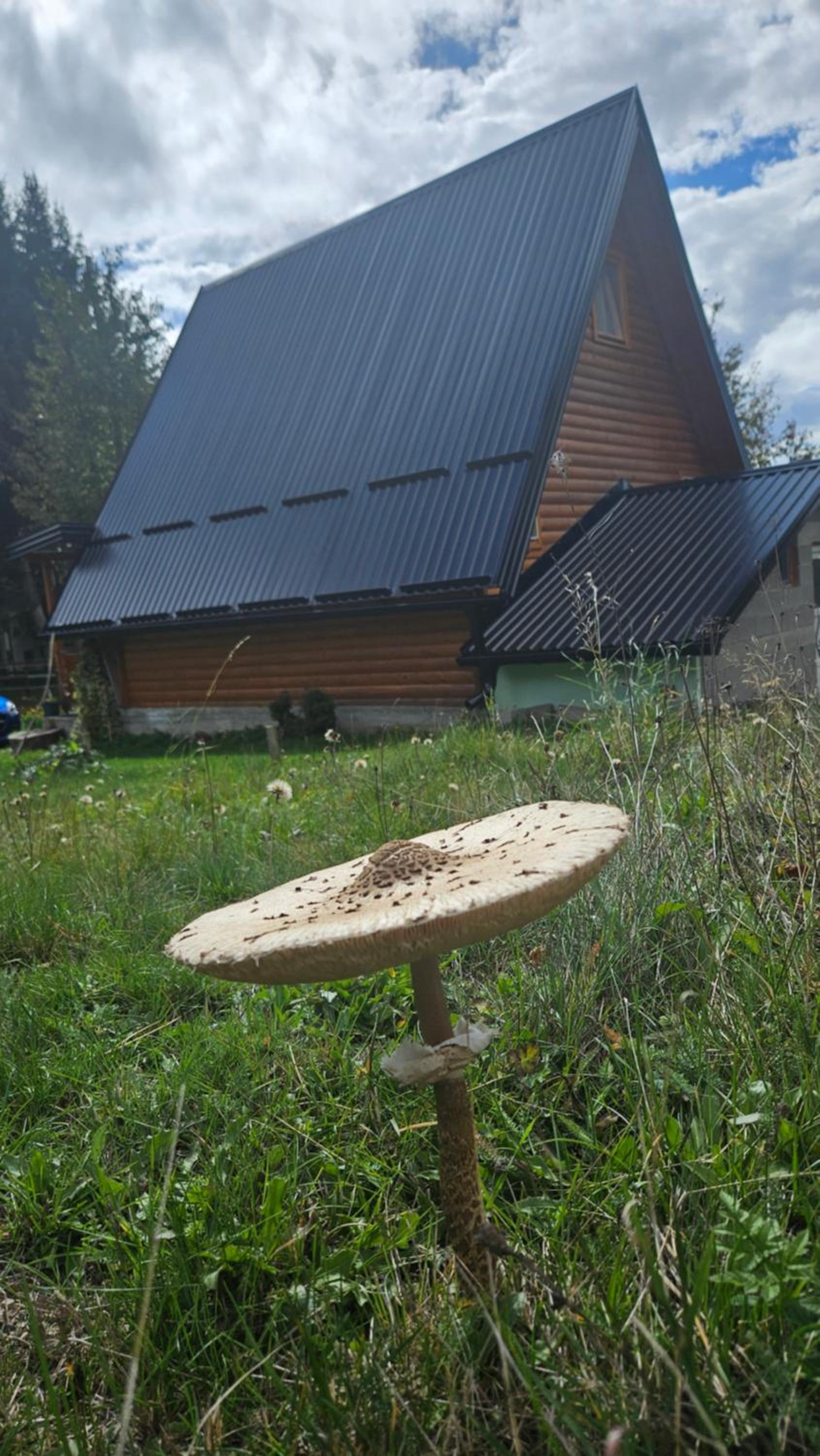 Planinska brvnara view 3