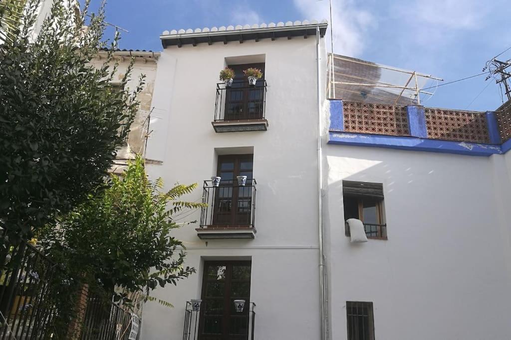 Photo 25