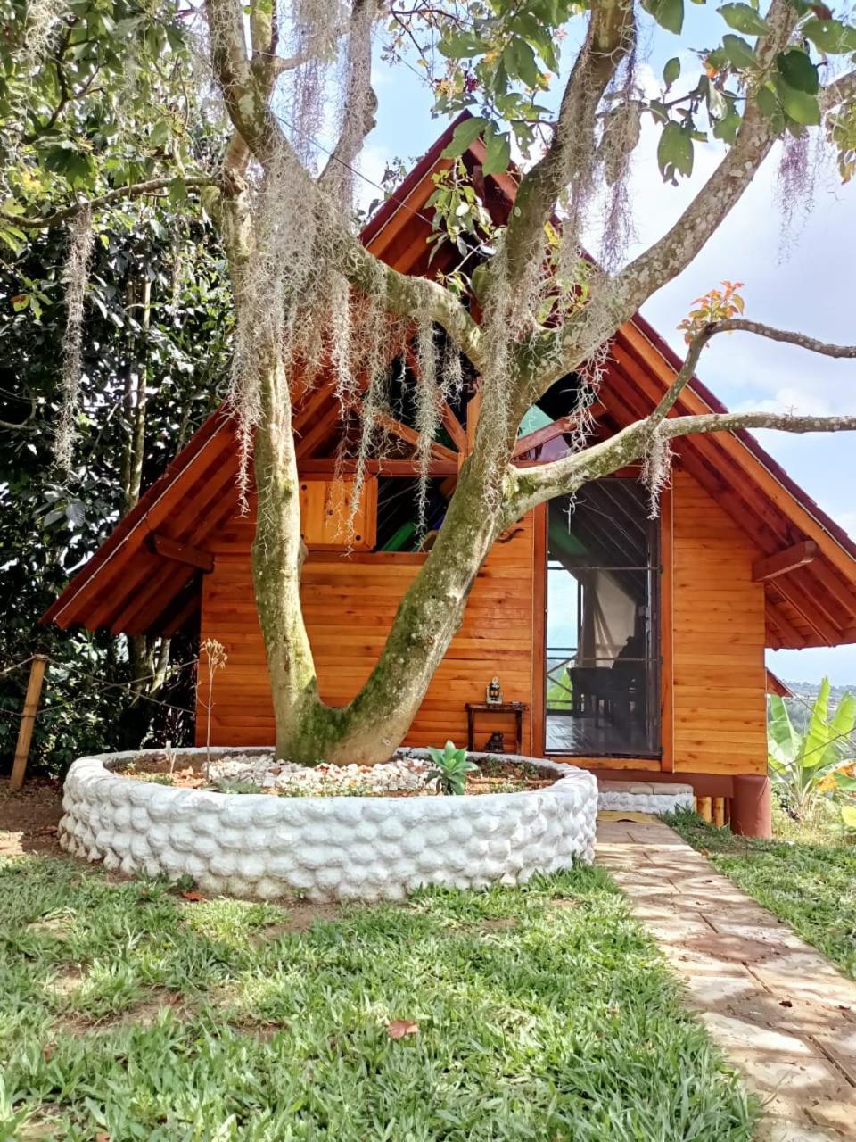 Cabañas la Miranda