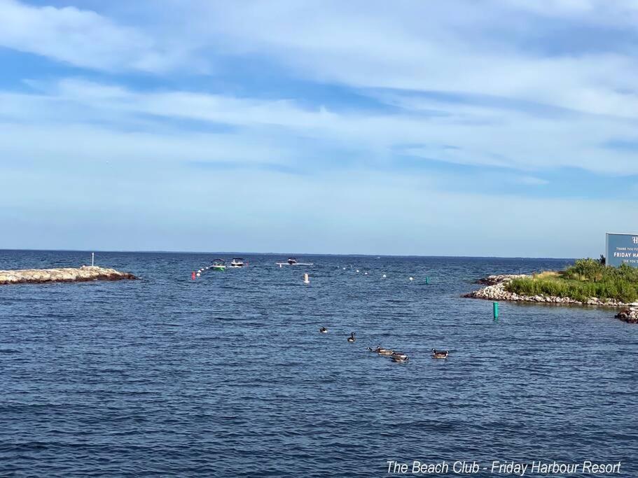 Beautiful Condo, 2 Bedrooms and a Den in Friday Harbour Resort!