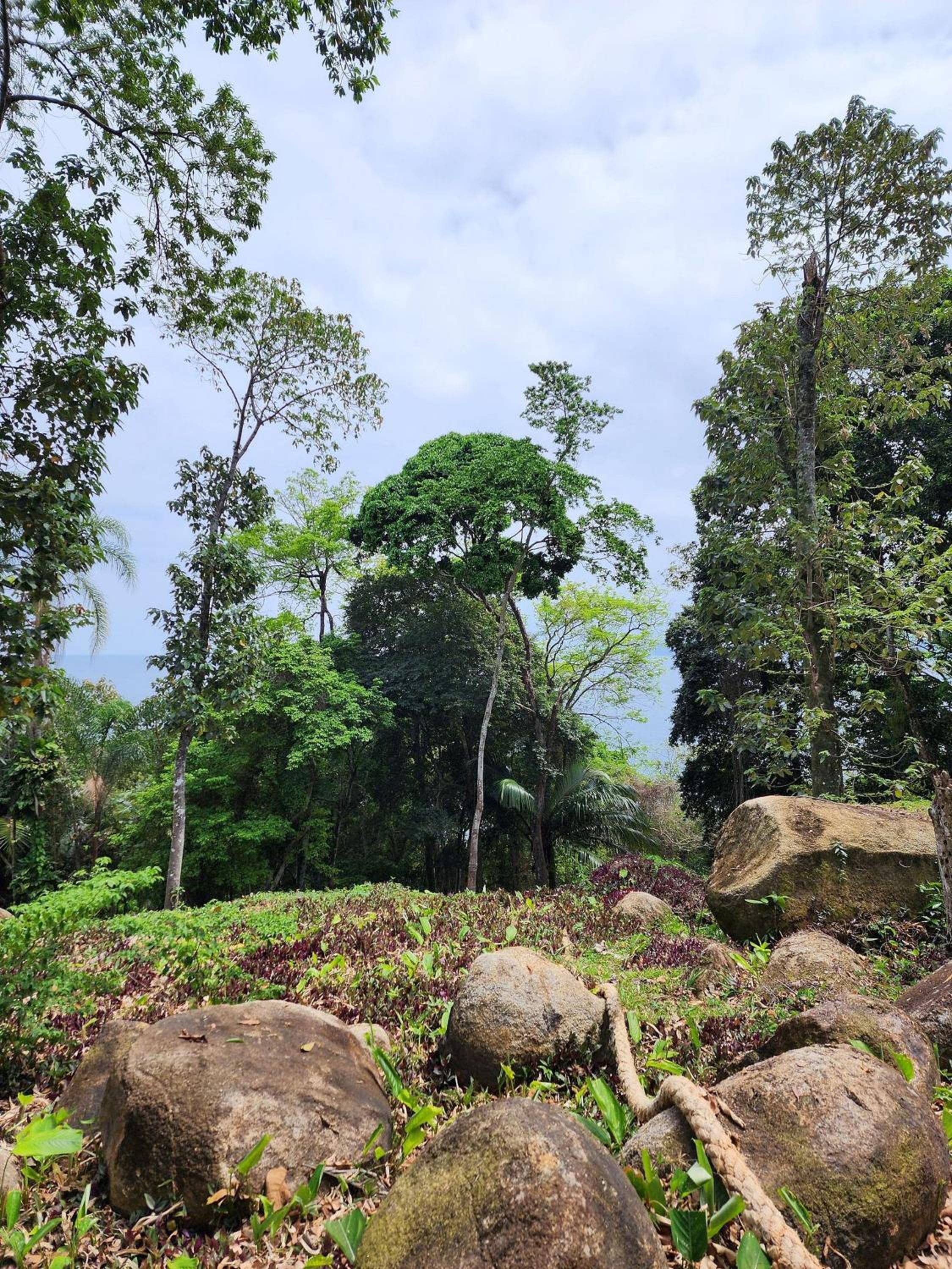 other