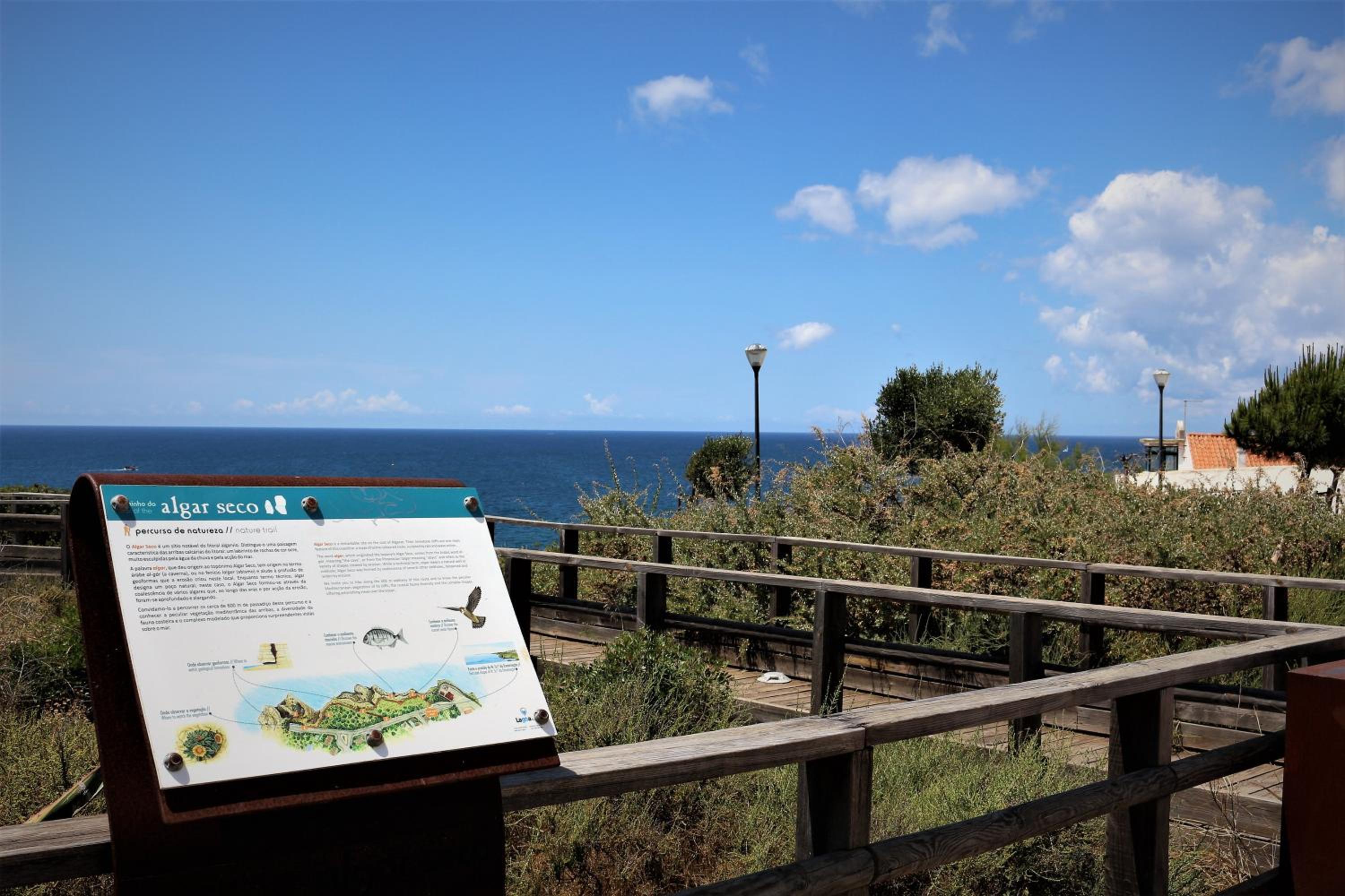 Carvoeiro Vacations - Norah's House - Property Image 2