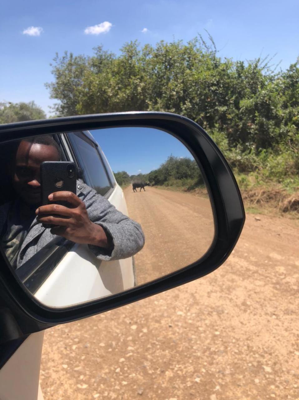 At Freddy's with free transport from JKIA
