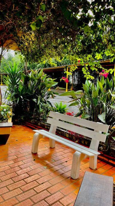 Loft aconchegante