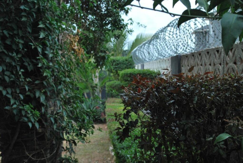 Davie Bunga home, Kalungu road view 4
