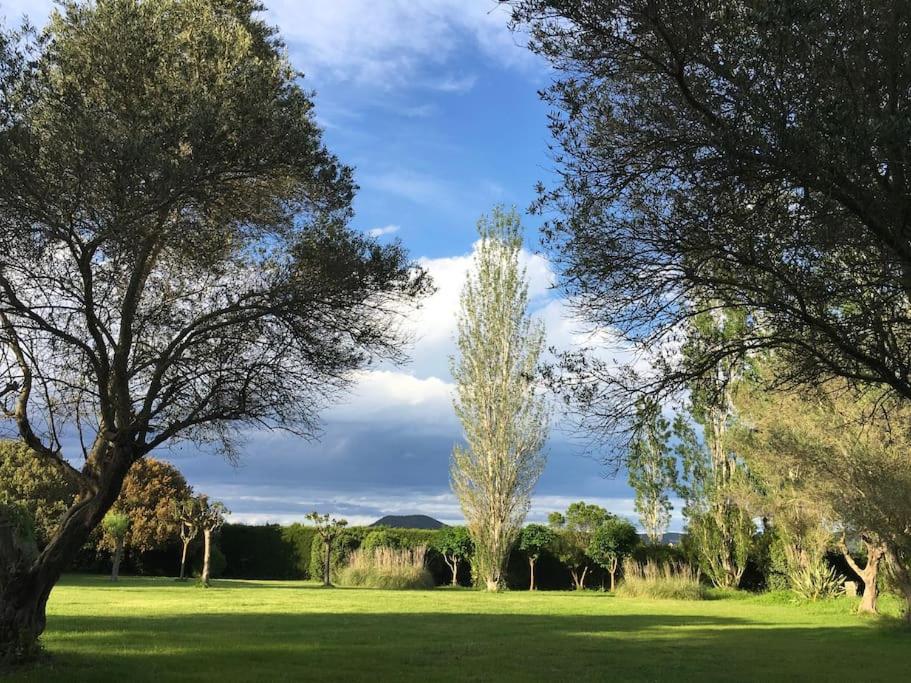 Les Estanyoles