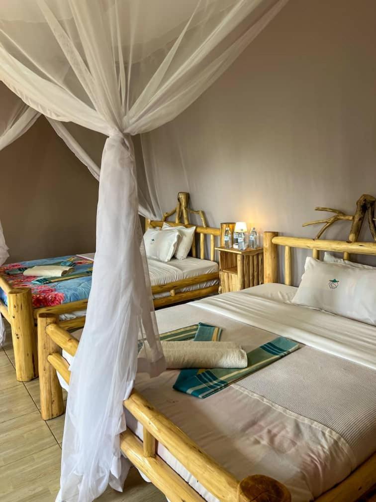 Gorrila Bluff lodge