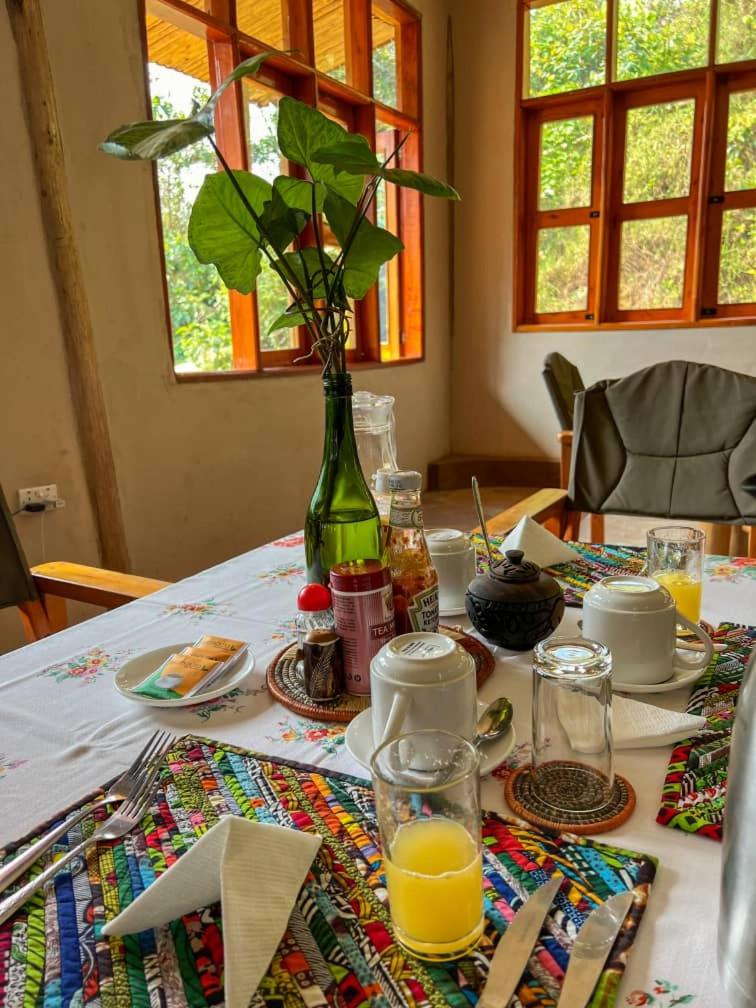 Gorrila Bluff lodge