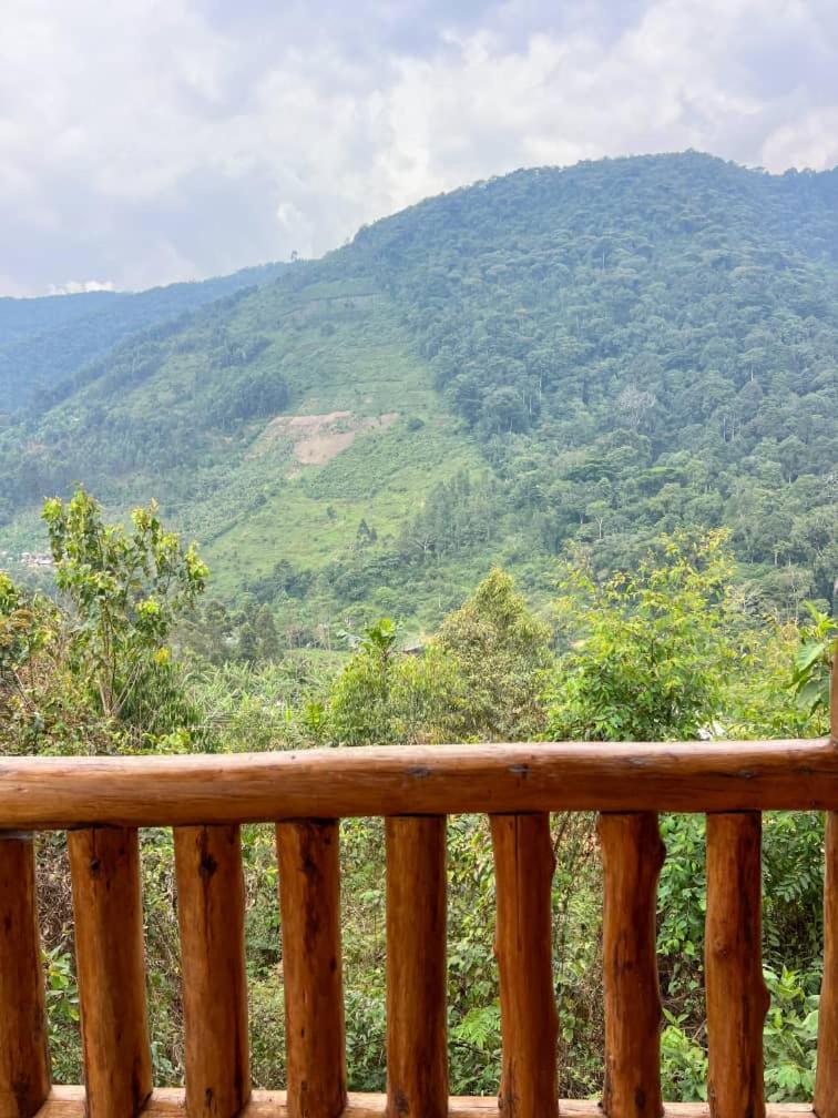 Gorrila Bluff lodge