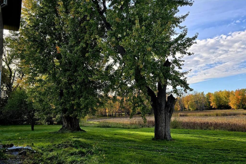 Lakefront House 25 minutes from downtown Ottawa-Gatineau