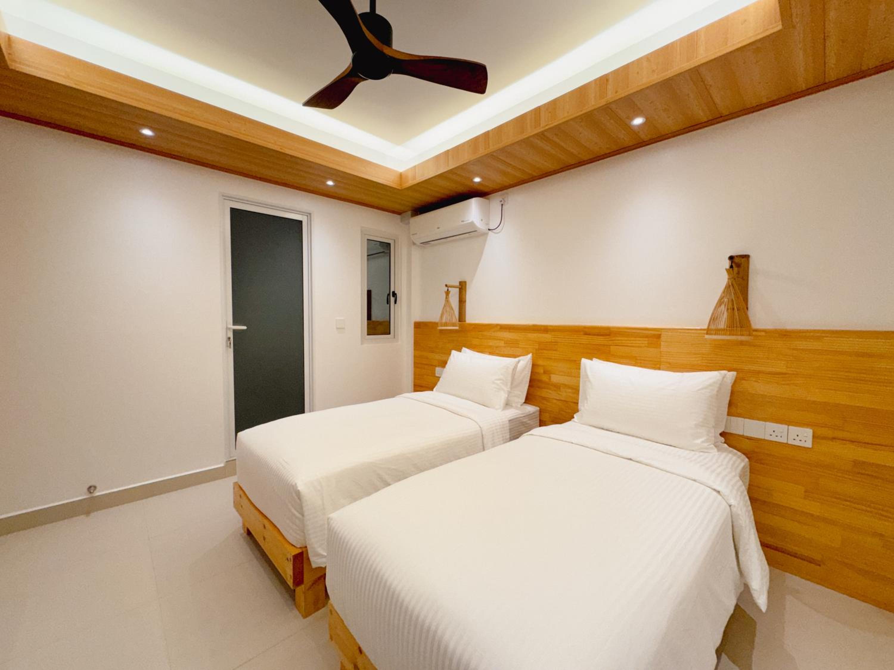 Pavona Maldives