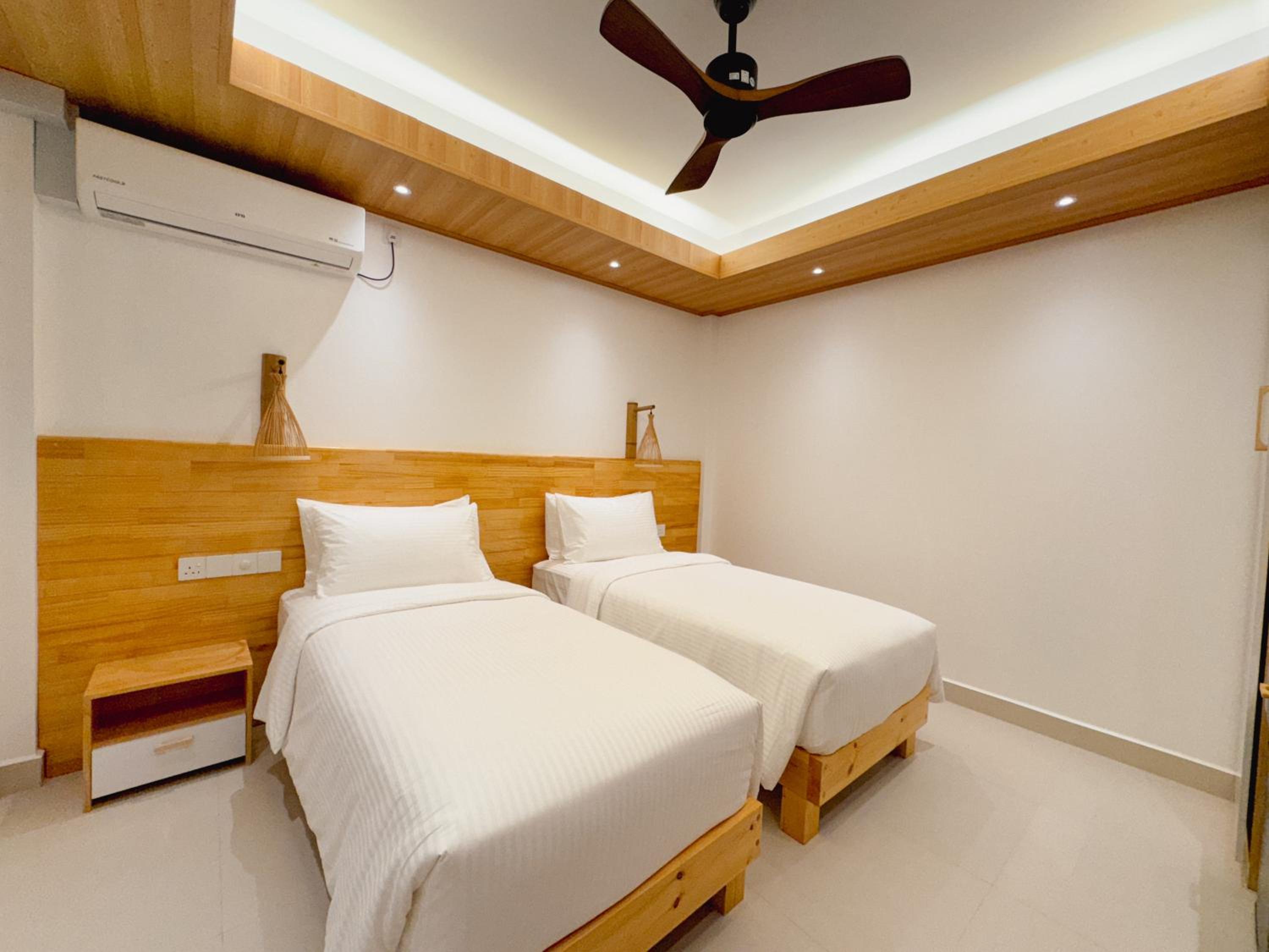 Pavona Maldives