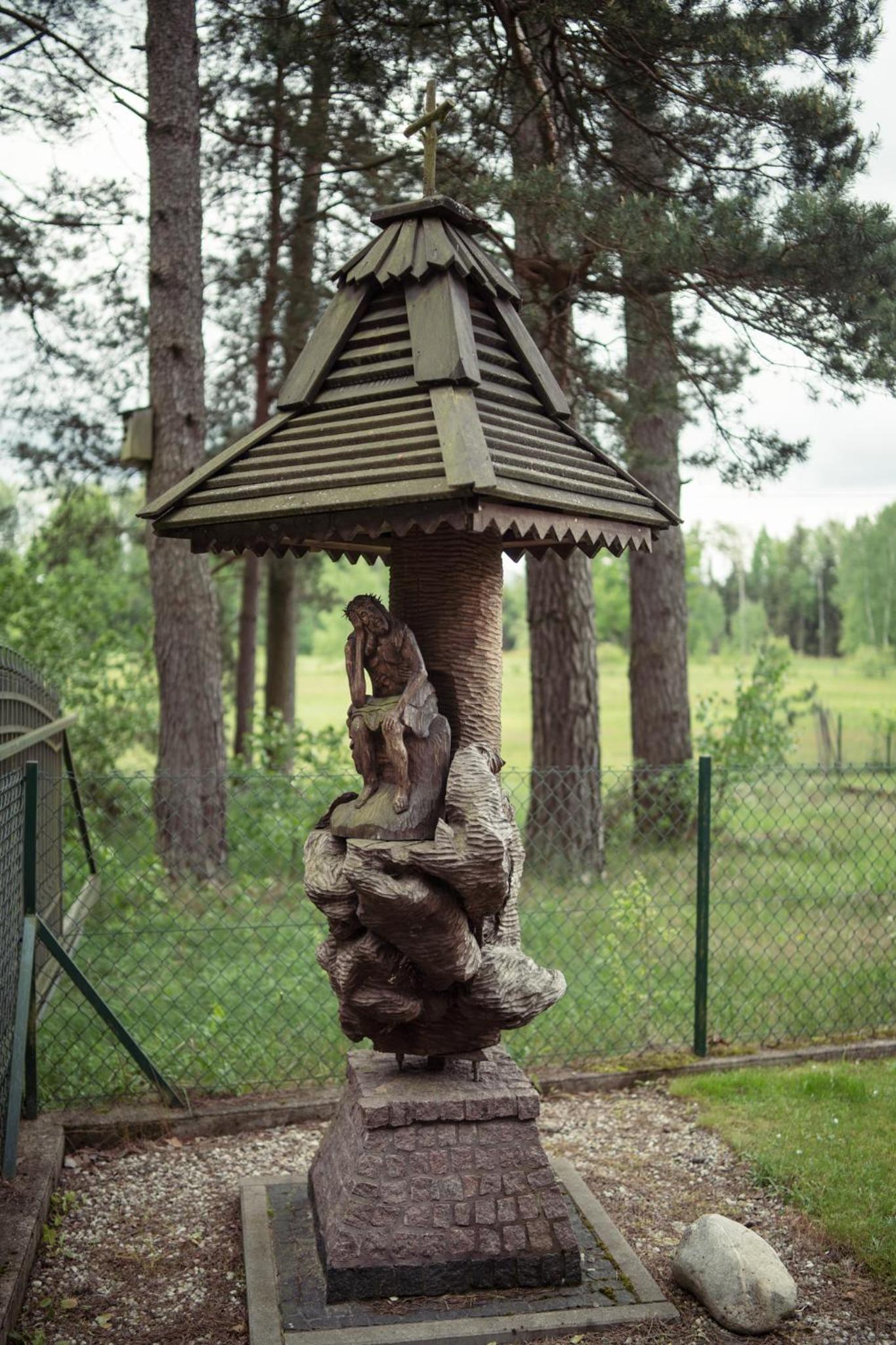 Photo 8