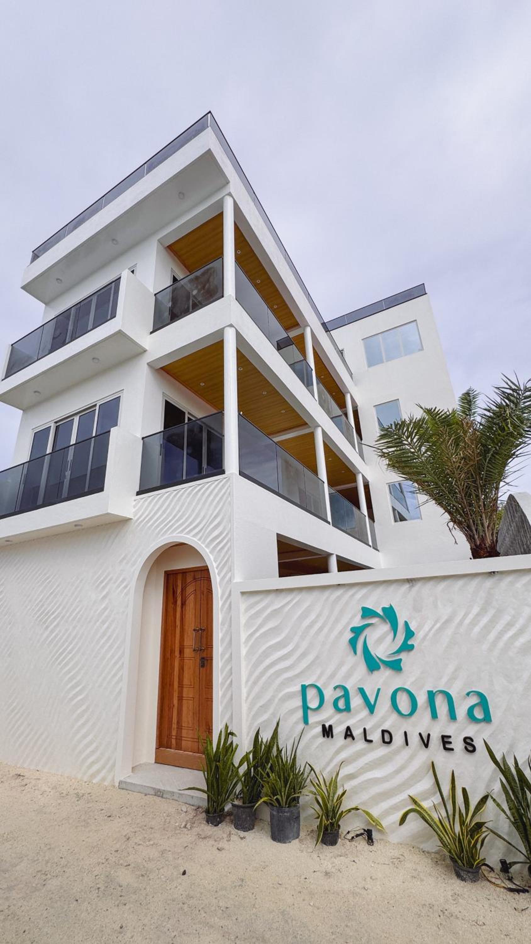 Pavona Maldives