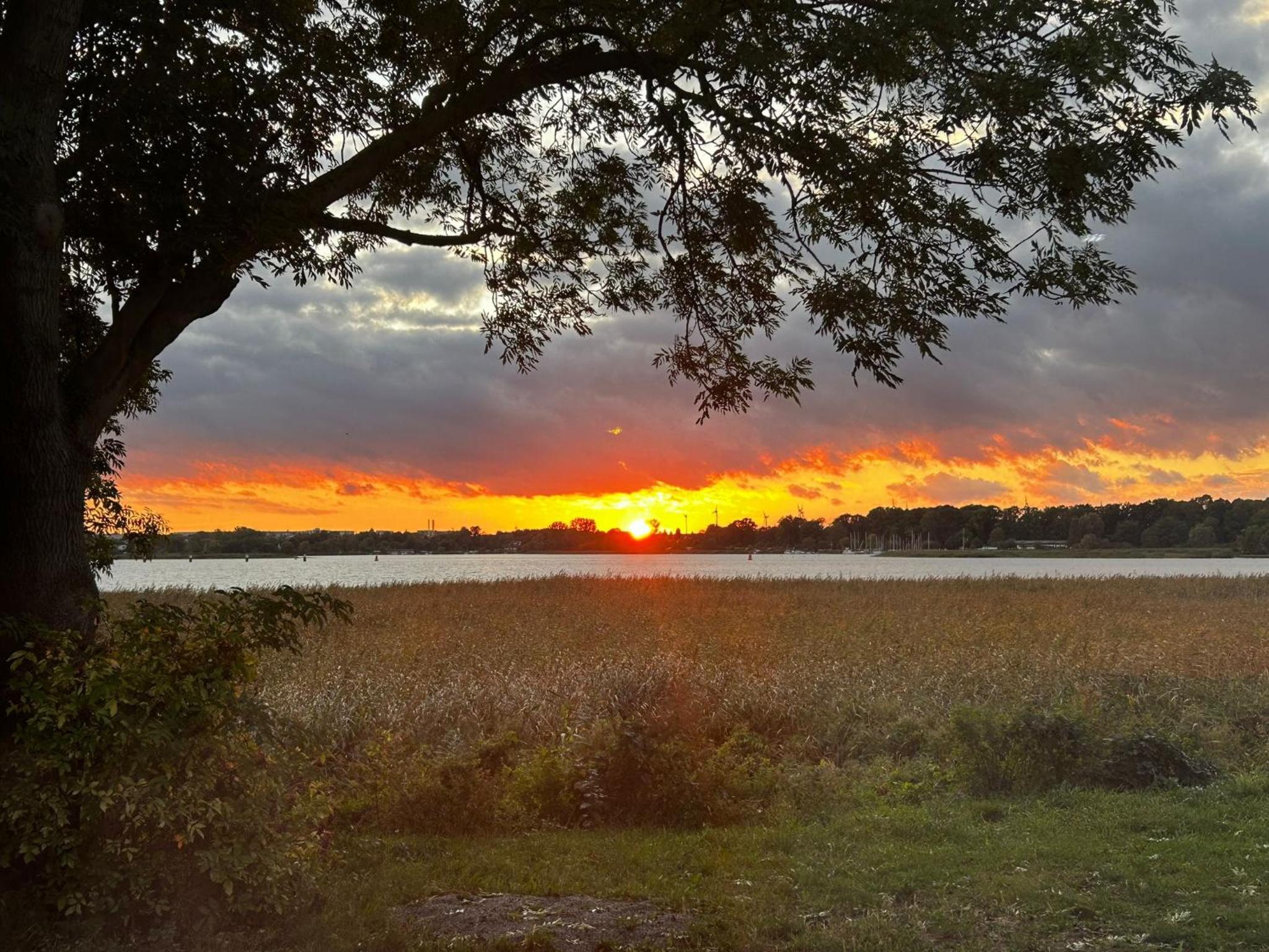 Fewo Usedom Peene Idyll