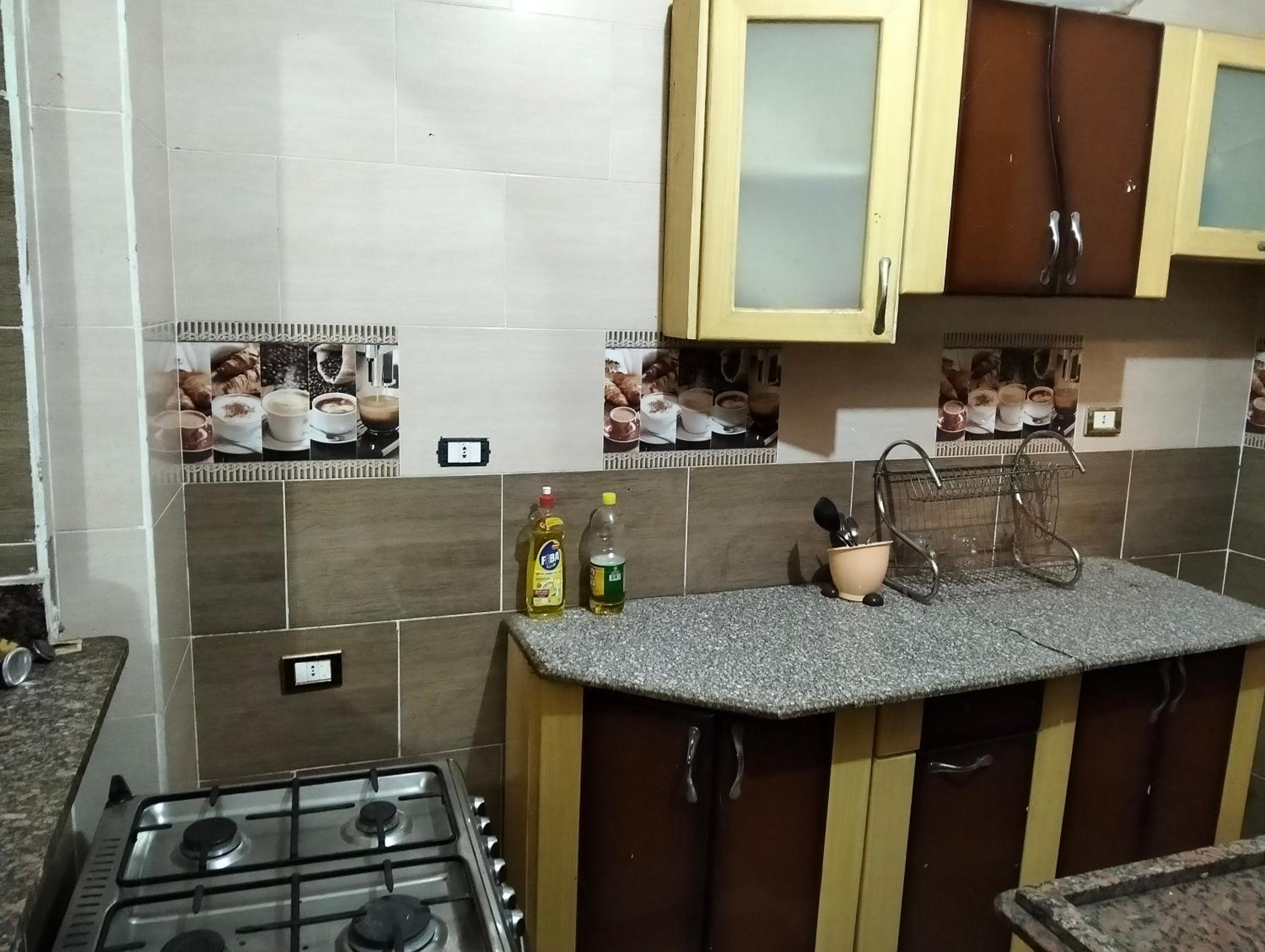 elephantine nile view house