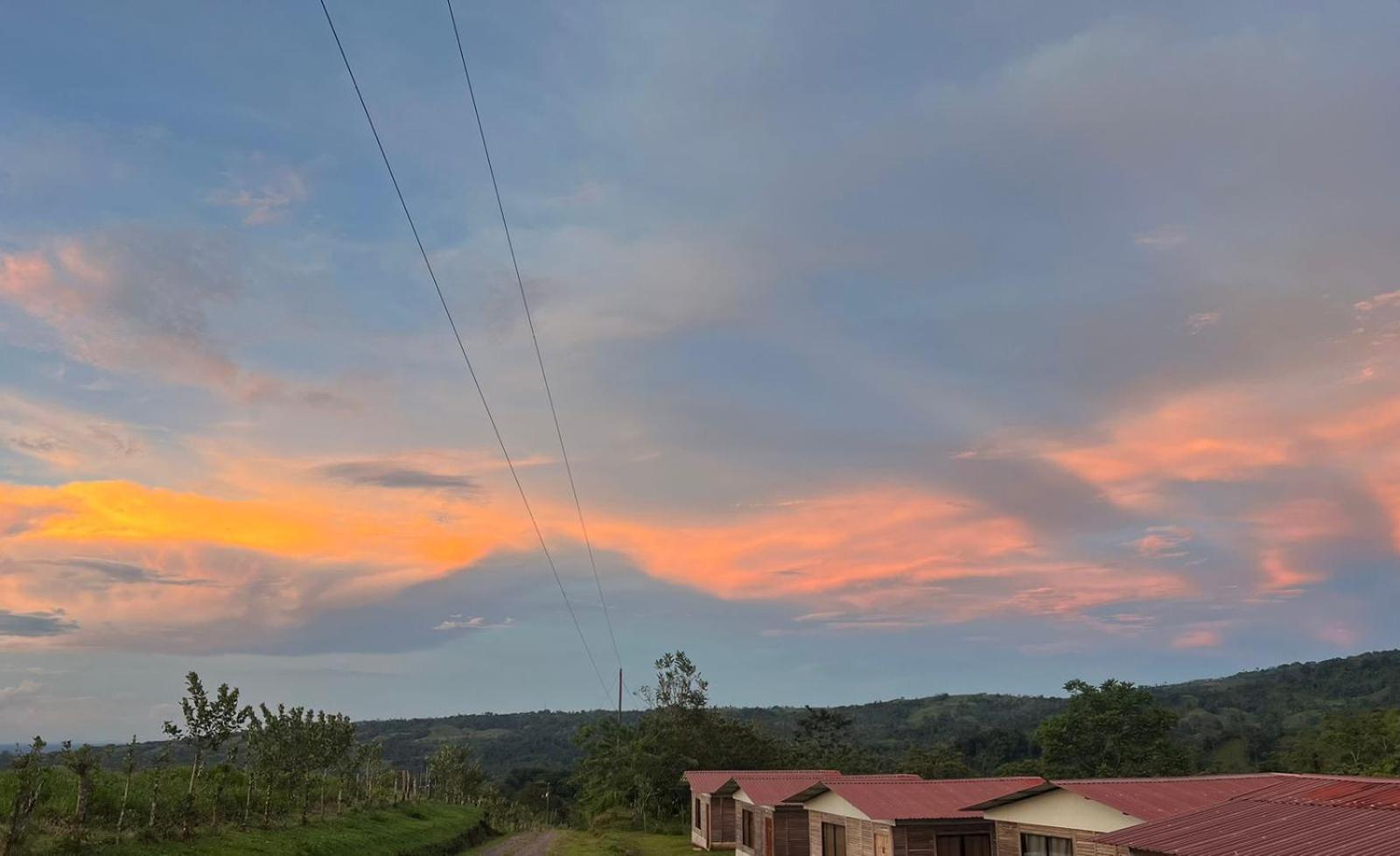 Cabañas venado
