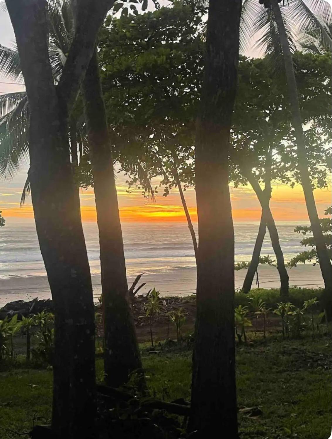 Beachfront sunset Bungalow