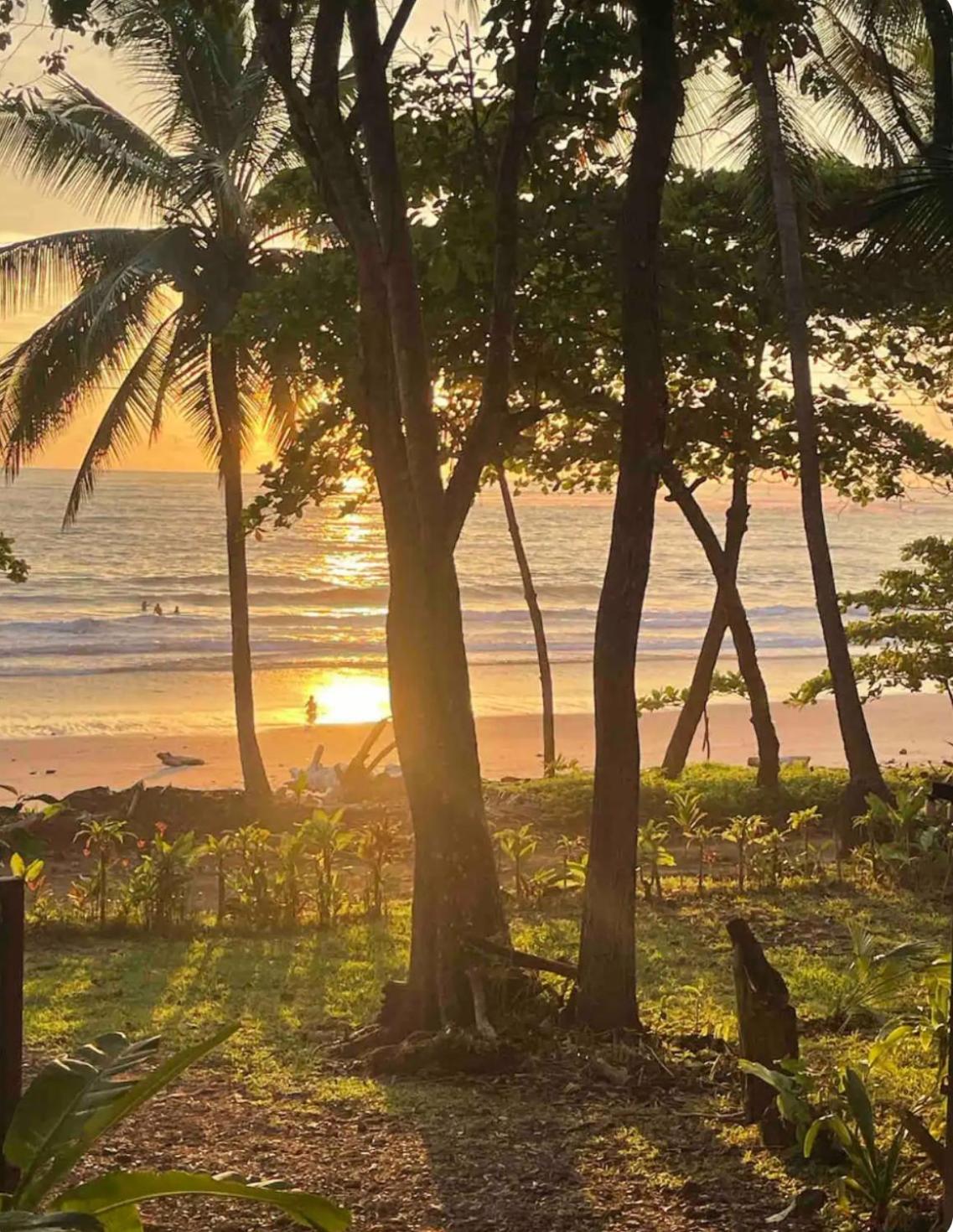Beachfront sunset Bungalow