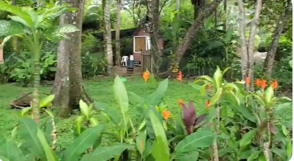 Beachfront sunset Bungalow